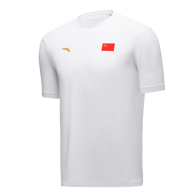 安踏短袖國家隊裝備國旗款男子冰膚速干透氣圓領運動T恤452520102-1